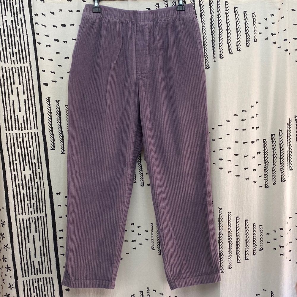 UO purple cord pull on pants